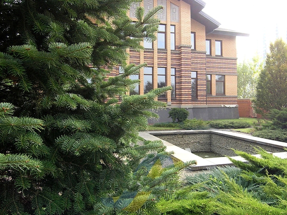 House with a beautiful garden