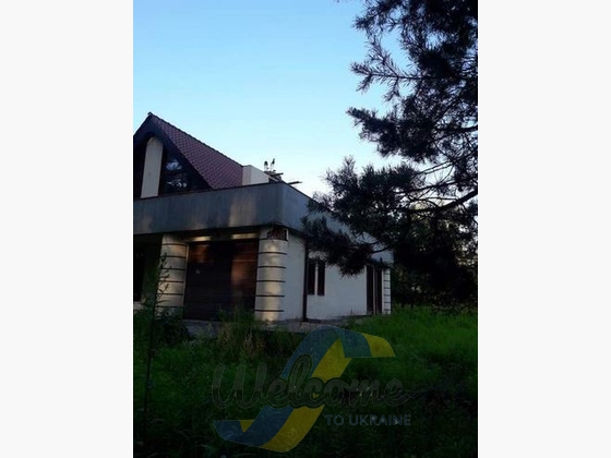 Home near the forest