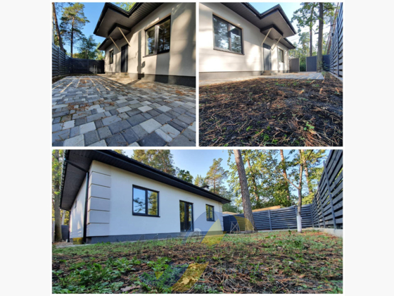 House in the forest